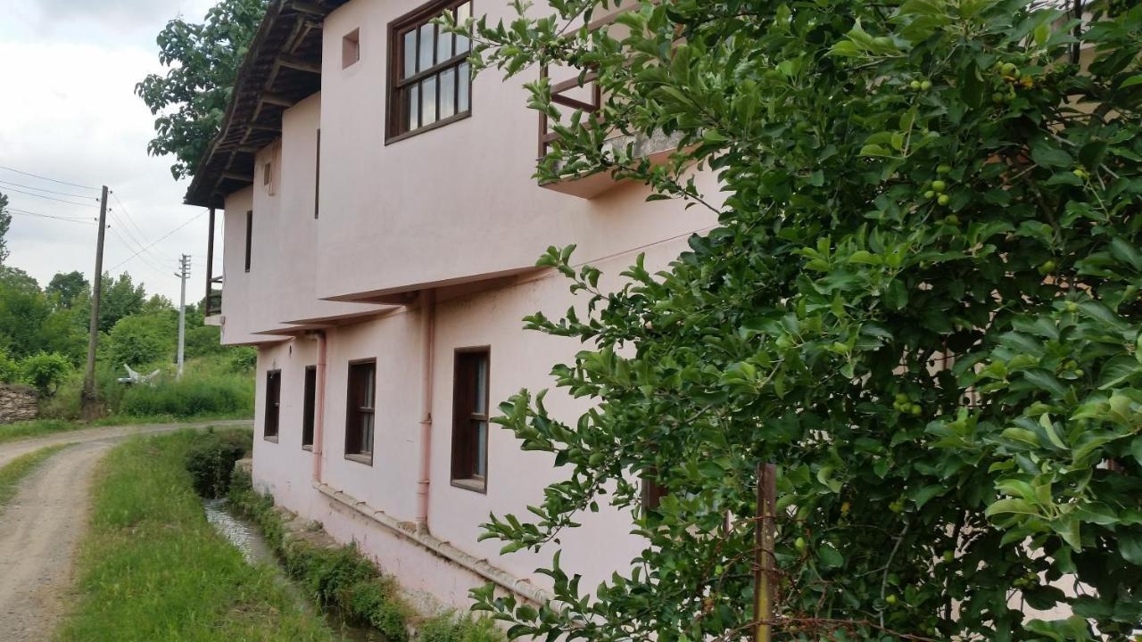 Elmas Pansiyon Karacasu  المظهر الخارجي الصورة